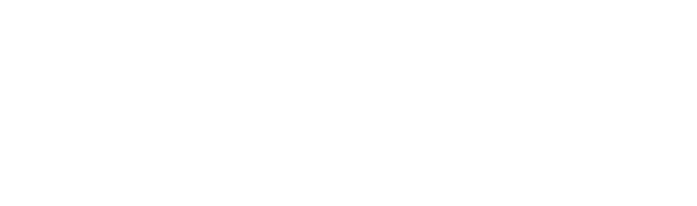 Google Play Store (Android Marketplace)